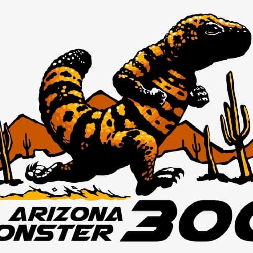 Arizona Monster 300