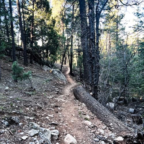 Zane Grey Highline Trail Runs