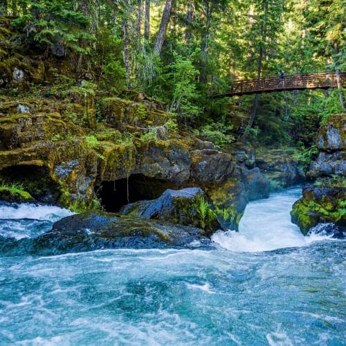 Rogue Gorge