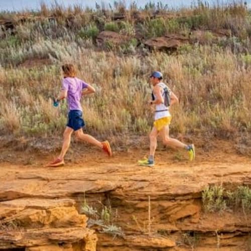 Hell Creek 100