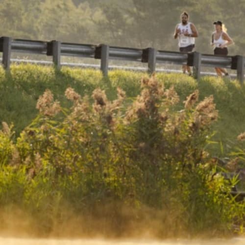 Fall Creek Falls Half Marathon, 10k & 5k Road Runs