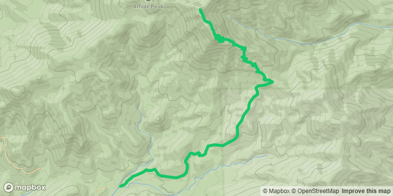 King Canyon Trail