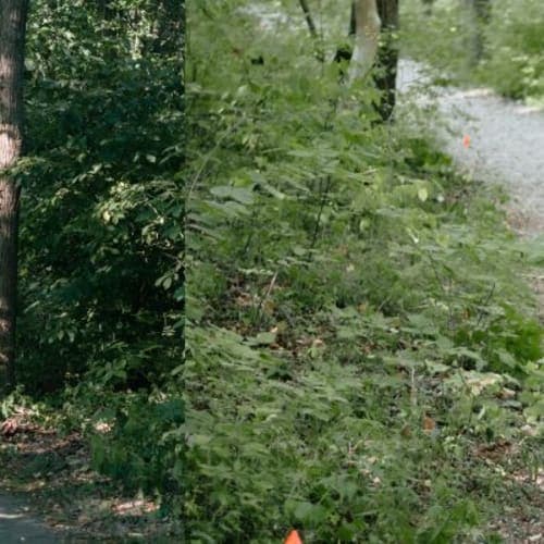Orrrc Darby Creek Bison 10k Trail Race