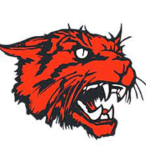 Firelands 5k Road Race Sponsored By Dr. Michael Collins