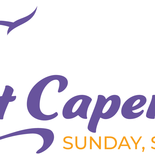 Cat Caper 5k