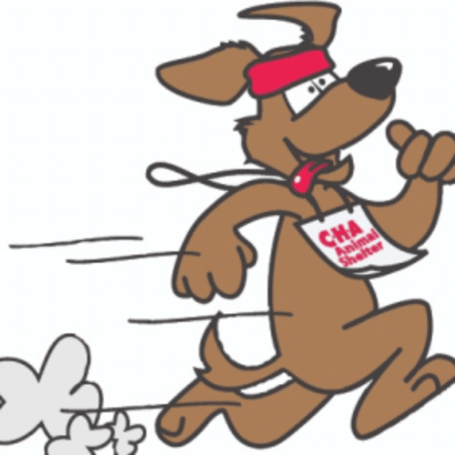 Dog Jog 5k And Fun Run