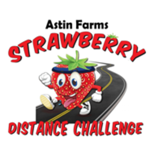Sdc 2025 (strawberry Distance Challenge)