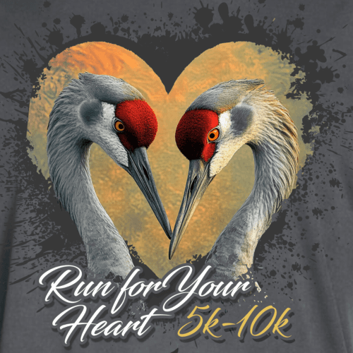 19th Annual Fleet Feet Run For Your Heart 5k/10k And Kids Dash