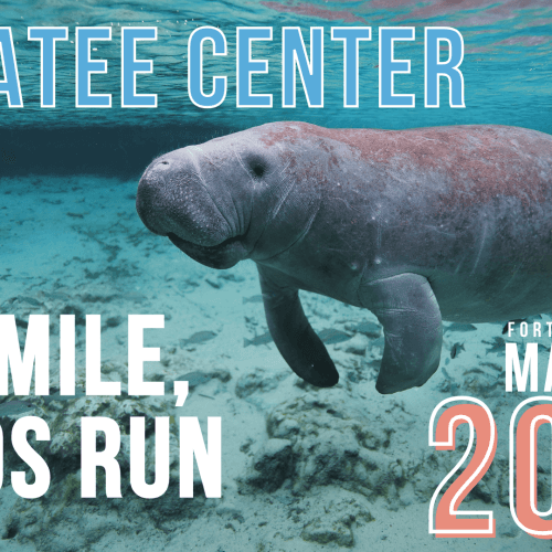Manatee Center 5k, One-mile, & Kids Run