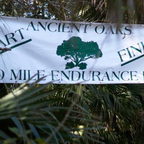 Ancient Oaks 100-mile Endurance Run