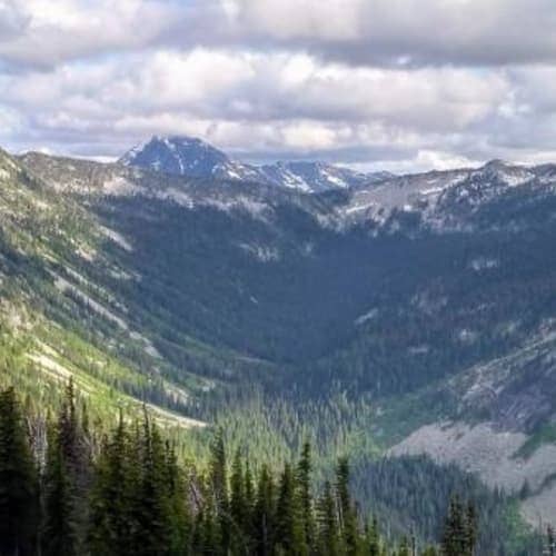 CWES - Cabinet Divide Loop