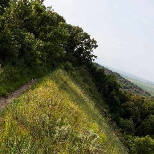 Iowa Trail Run Series: Waubonsie