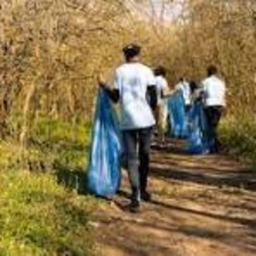 Rocks And Roots Trail Cleanup Days!
