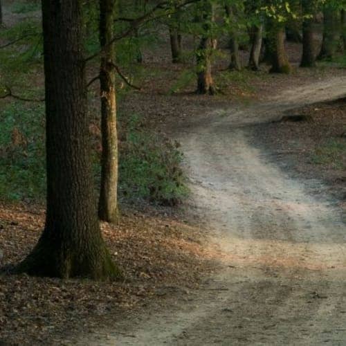 Brookhaven Trail Half Marathon And 5 Mile