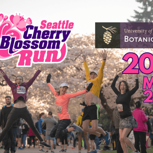 Seattle Cherry Blossom Run