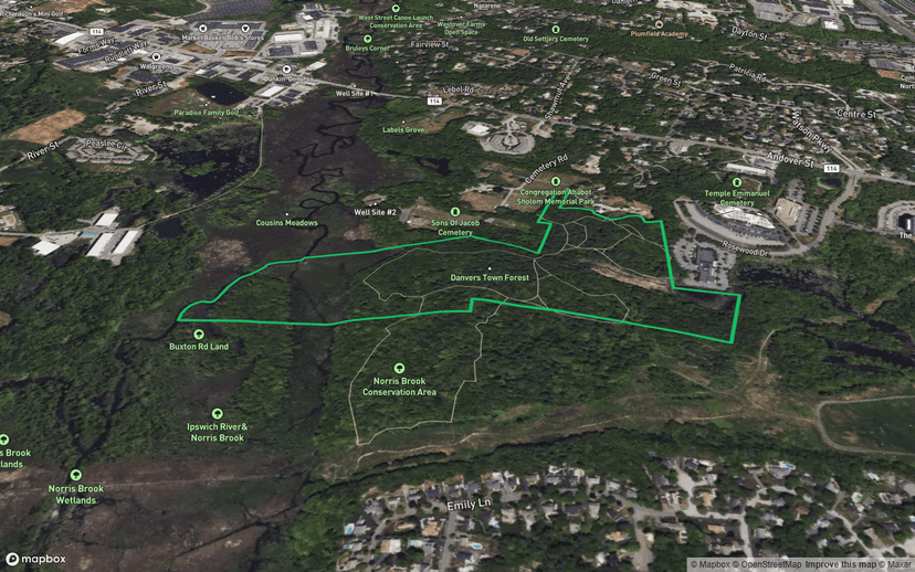 Danvers Town Forest