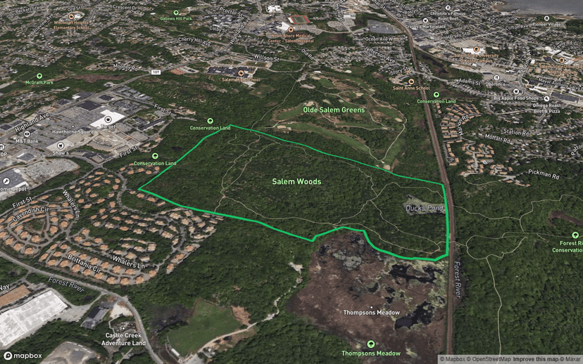 Salem Woods