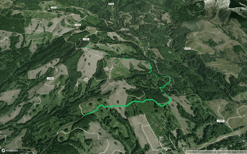 Jones Creek Trail