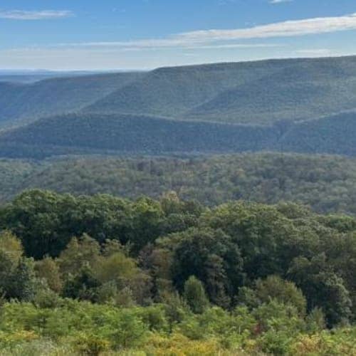 WTF Dark Sky 220 / Cherry Springs 110 / Wooly 50K