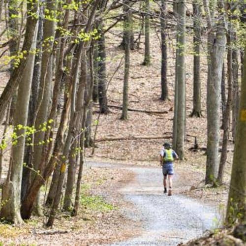 English's Ridge Rumble