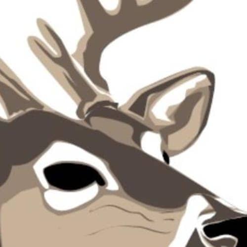 The Frosty Buck Trail Race