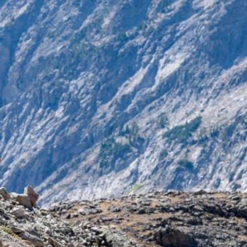 Standhope Ultra Challenge