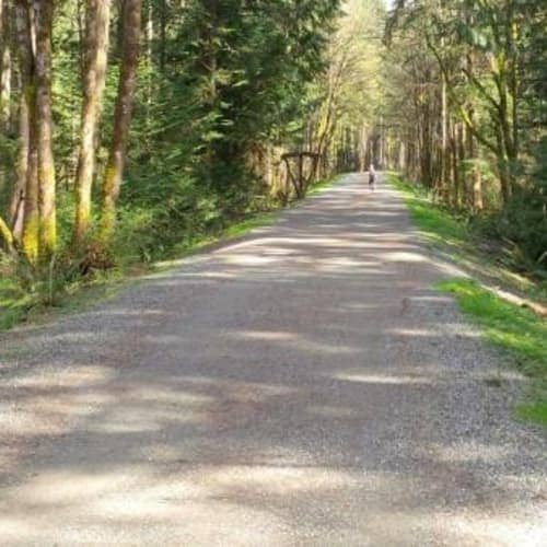 Pigtails Run - The "Flat" Fat Ass