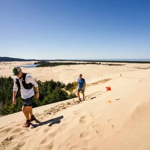 Siuslaw Dunes