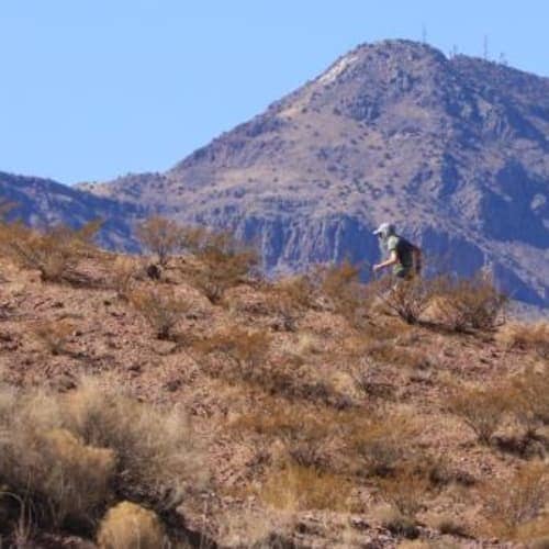 La Jornada de las Quebradas