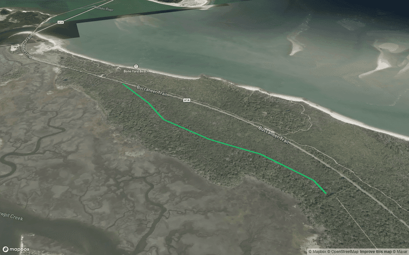 Big Talbot Island State Park Trail