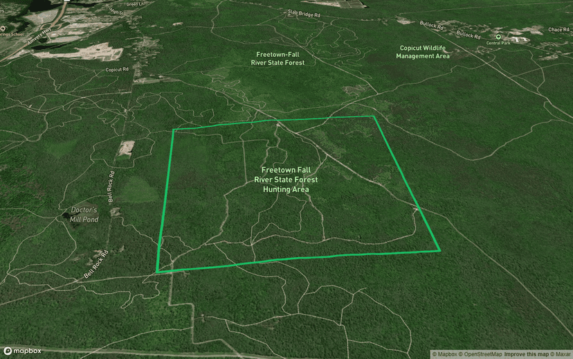 Freetown Fall River State Forest Hunting Area