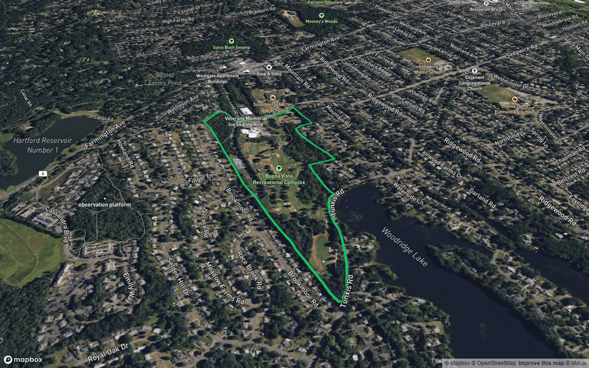 Buena Vista Recreational Complex
