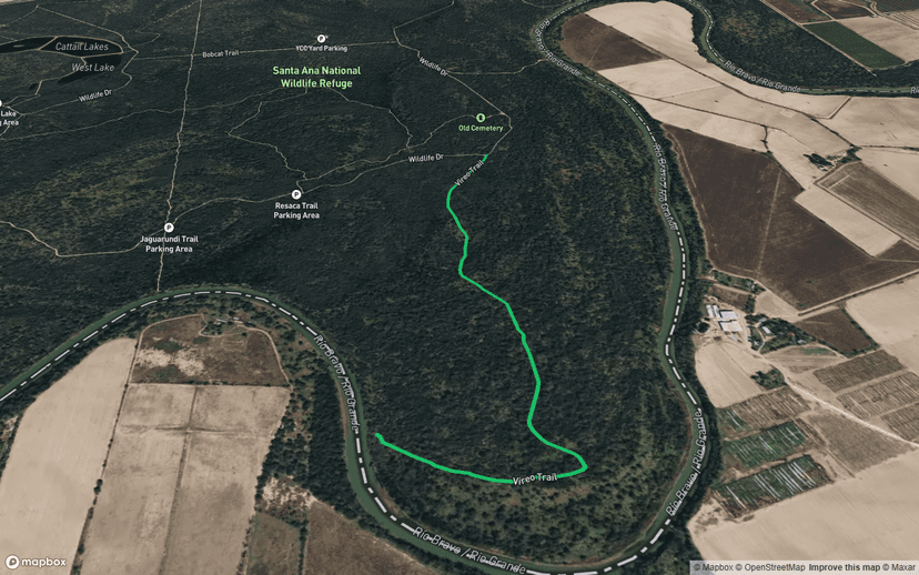 Vireo Trail