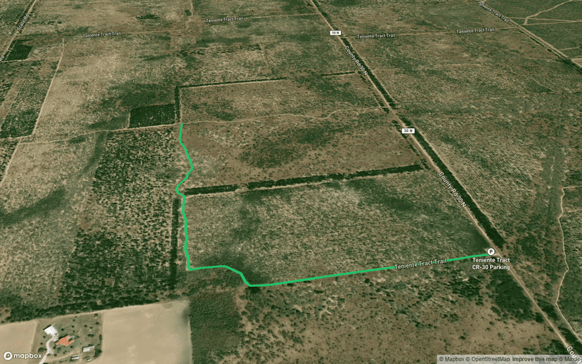 Teniente Tract Trail