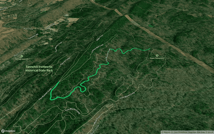 Iron Runner Loop