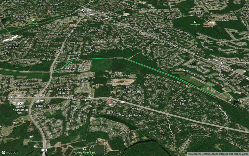Sawmill Branch Trail