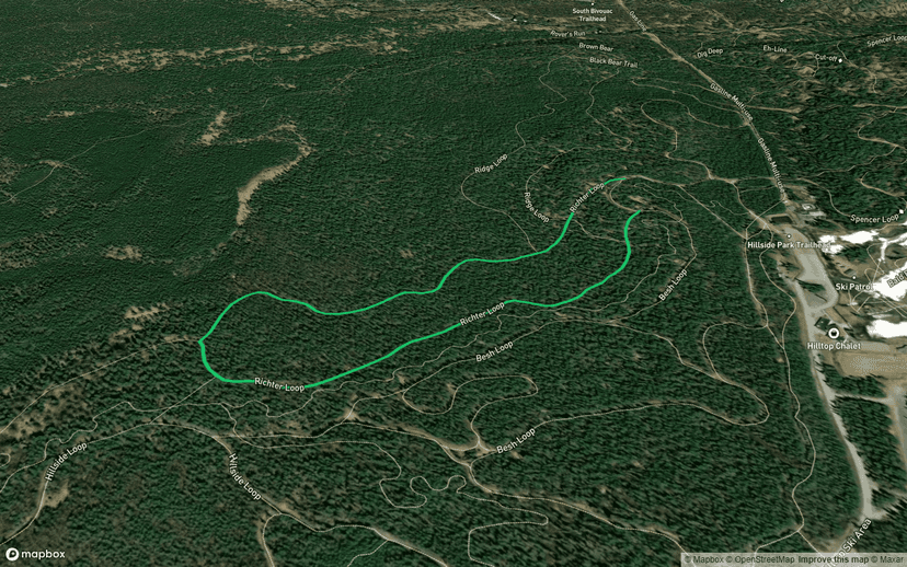 Richter Loop