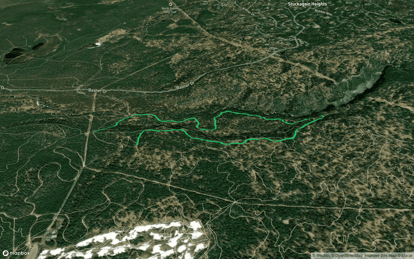 Spencer Loop