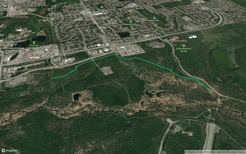 Dog mushing Trail