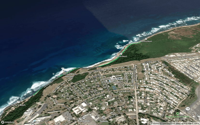 Survival Beach Trail