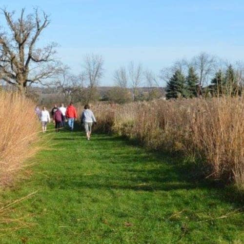 Bristol Woods Trail Run