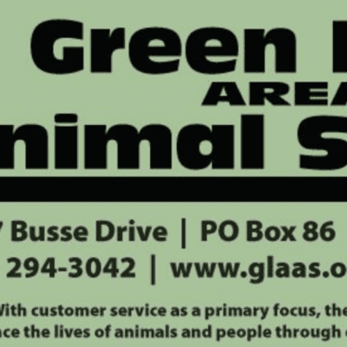 Dia De Las Mascotas 5k Fun Run