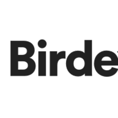 Birdeye