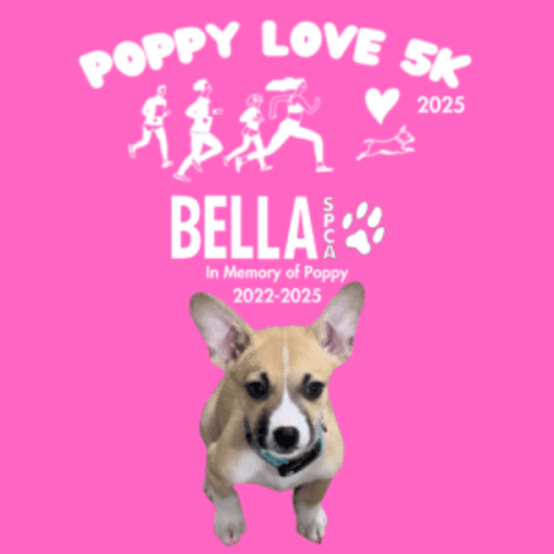Poppy Love 5k- "in Memory Of Poppy"