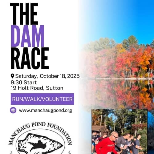 The Dam Race!