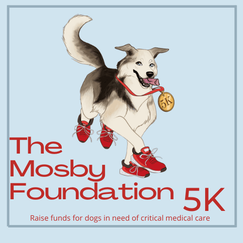The Mosby Foundation 5k Run