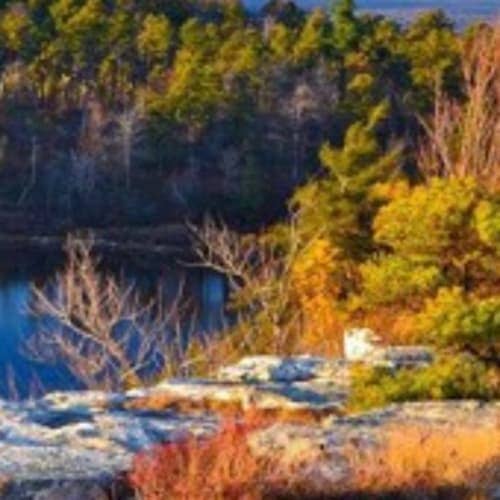 After The Leaves/josh Feldt Half Marathon