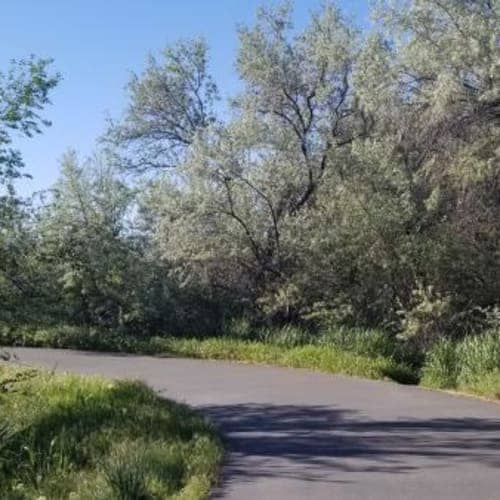 Jordan River Blitz Backyard