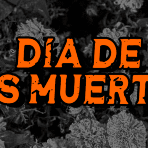 Day Of The Dead Half Marathon - Waco