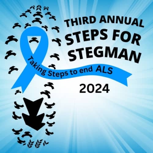 Steps For Stegman